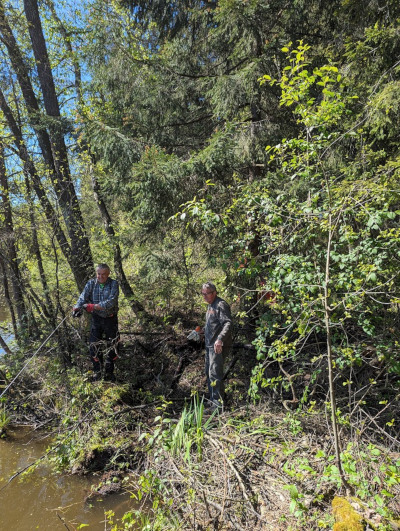 Arbeitsdienst Arbeitsdienst